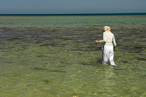 A student on a biology field course from Cairo University studying marine life in the Red Sea.